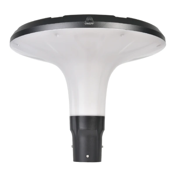 DLG-S-006